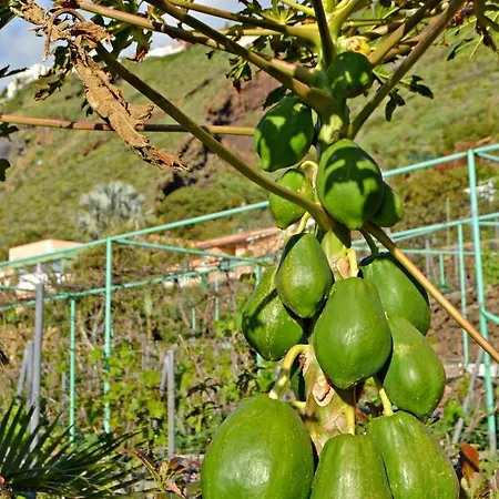 Casa Victor * لا أوروتافا