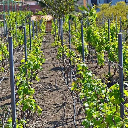 Bauernhof Casa Victor *