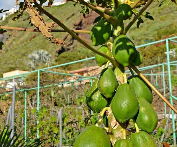 Casa Victor * Ля Оротава