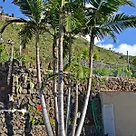 Casa Victor * La Orotava